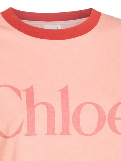 Chloé Pink Cotton T-shirt With Logo In Pink