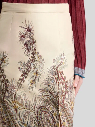 Etro Skirt In Multi