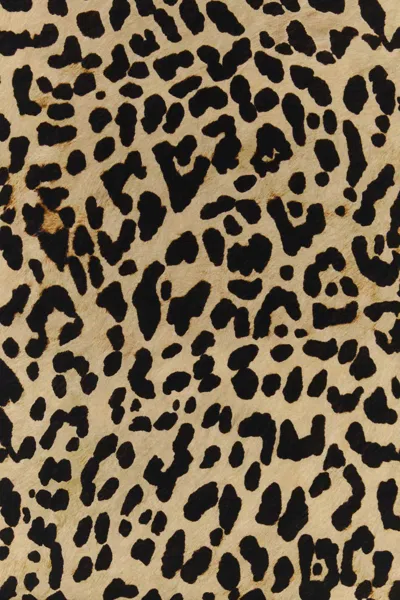 Valentino Garavani Animal Print Silk Foulard With Contrast Border In Brown