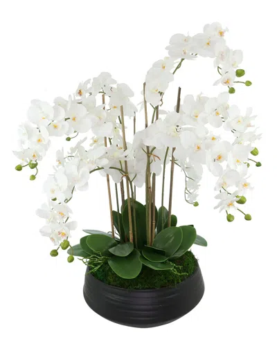 Creative Displays Orchid Centerpiece In Ceramic Pot