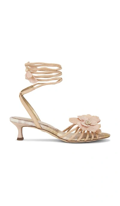 Sam Edelman Women's Carla Sandals In Neutral