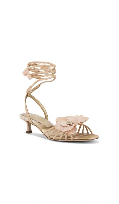 Sam Edelman Women's Carla Sandals In Neutral