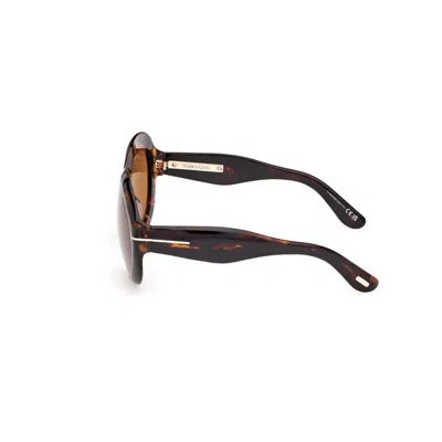 Tom Ford Full Frame Sunglasses In Brown