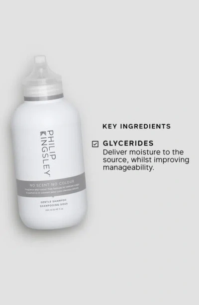 Philip Kingsley No Scent No Color Gentle Shampoo