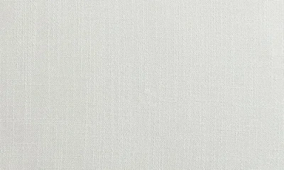 Vcny Home Fringe Trim Accent Pillow In White