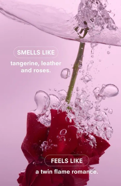 Boy Smells Rosalita Standard Candle