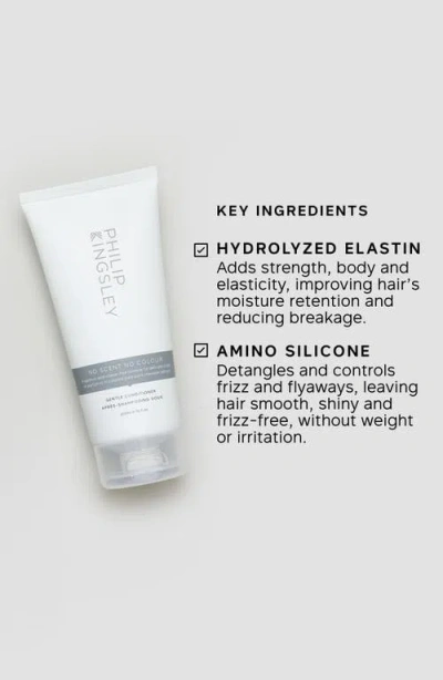 Philip Kingsley No Scent No Color Conditioner