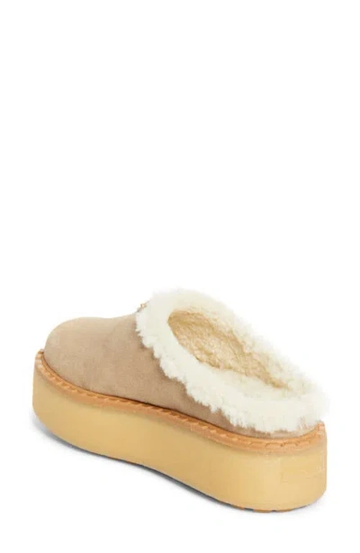 Prada Evolve Genuine Shearling Clog