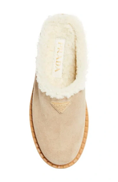 Prada Evolve Genuine Shearling Clog