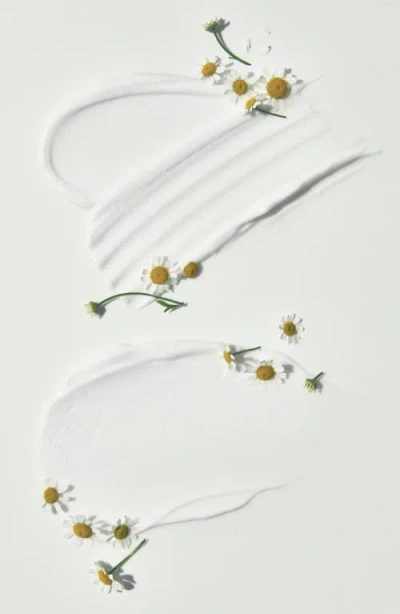 Malin + Goetz Malin And Goetz Chamomile Shave Cream 5 Oz. In Blue