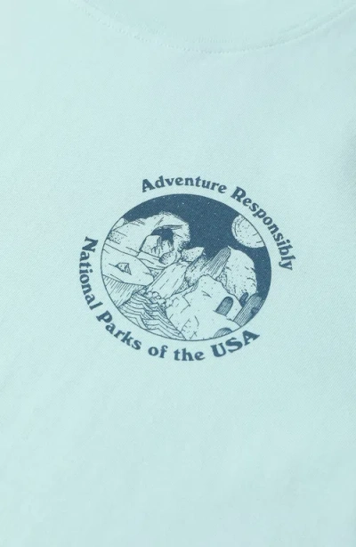 Parks Project National Parks Fill In Boxy Tee