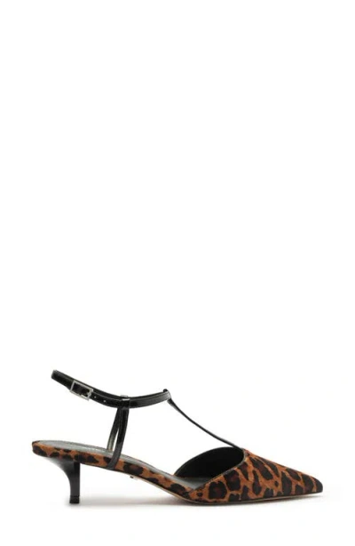 Arezzo Women's Teagan Pointed Toe Pumps In Brown