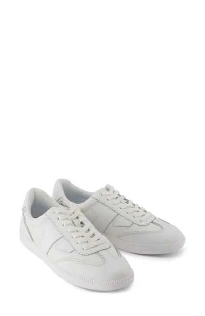 Toms Collins Trainer
