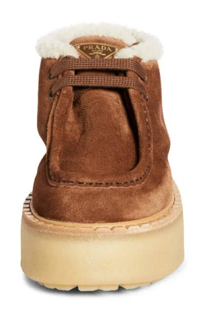 Prada Brown Suede Chukka Boots