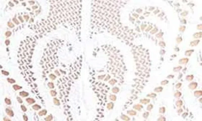 Natori Feathers Hipster Briefs In White