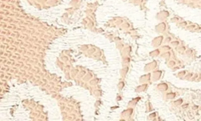 Natori Feathers Hipster Briefs In White