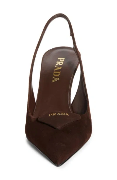 Prada Suede Pointed Toe Stiletto Heel Pumps In Multi