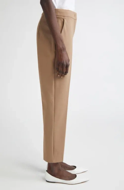 Max Mara Pegno Slim Fit Jersey Ankle Pants In Brown