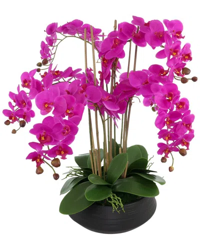 Creative Displays Orchid Centerpiece In Ceramic Pot In Multi