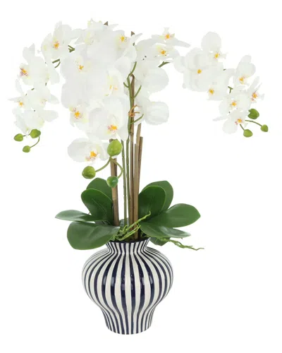 Creative Displays Orchids Arranged In Decorative Ceramic Vase In Multi