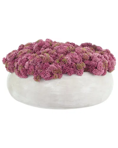 Creative Displays Sedum Arranged In A Stone Planter In Pink