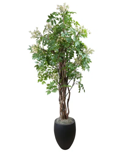 Creative Displays Bloom Lacquer Tree In Fiberstone Pot In Green