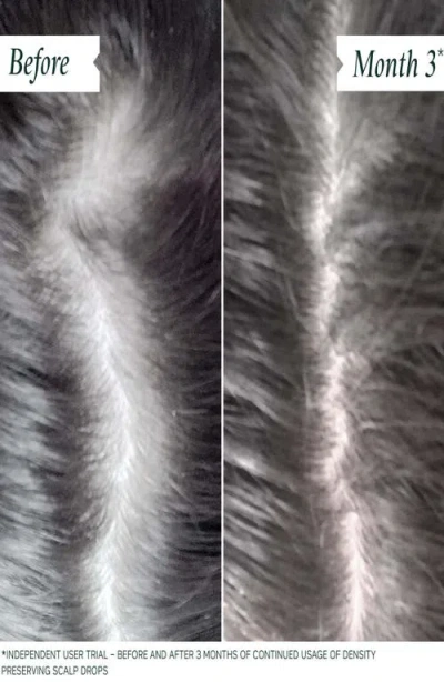 Philip Kingsley Density Discovery Collection Set $104 Value