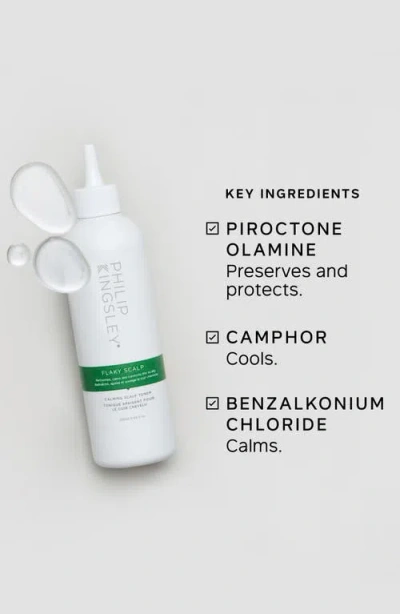Philip Kingsley Flaky Scalp Calming Scalp Toner In Transparent
