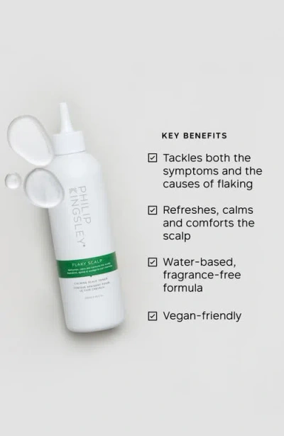 Philip Kingsley Flaky Scalp Calming Scalp Toner In Transparent
