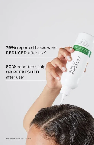 Philip Kingsley Flaky Scalp Calming Scalp Toner In Transparent