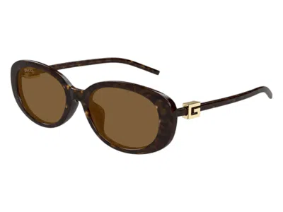 Pre-owned Gucci Women's  Oval Sunglasses In Havana (gg1684sa 004) In Brown