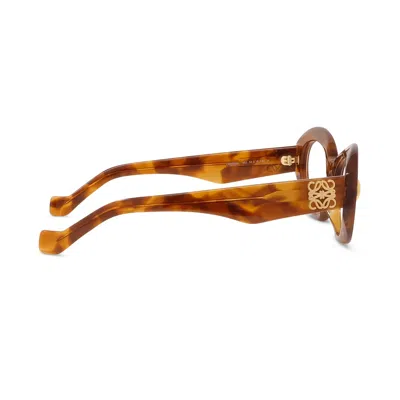 Loewe Eyewear Eyeglasses In Brown