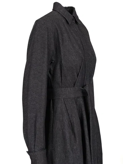 Max Mara Go Belted Waist Midi Dress With Long Sleeves