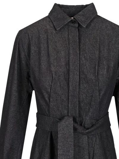 Max Mara Go Belted Waist Midi Dress With Long Sleeves