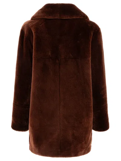 B&w Coats In Brown
