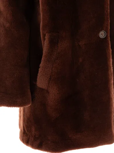B&w Coats In Brown