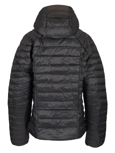 Patagonia Down Sweater Hoody Jacket Coats Black In Black