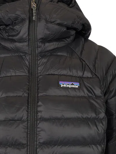 Patagonia Down Sweater Hoody Jacket Coats Black In Black