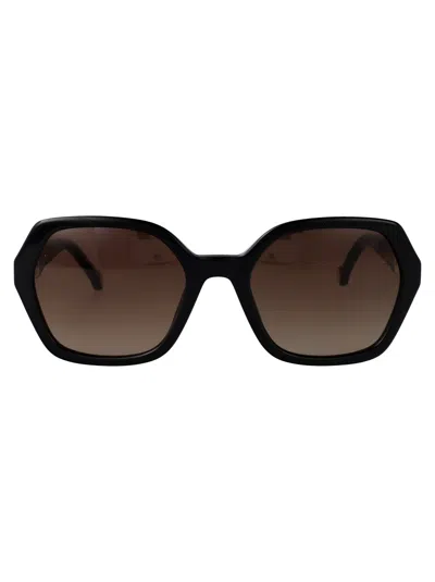 Carolina Herrera Black Acetate Sunglasses In Brown