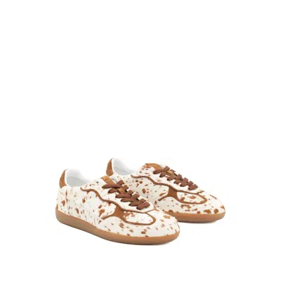 Alohas 'tb.490' Brown Low Top Sneakers With Embossed Logo On The Side And Perforated Details In Brown
