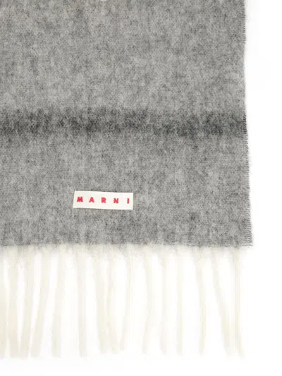 Marni Striped Alpaca Scarf Scarves And Foulards Grey In Multi