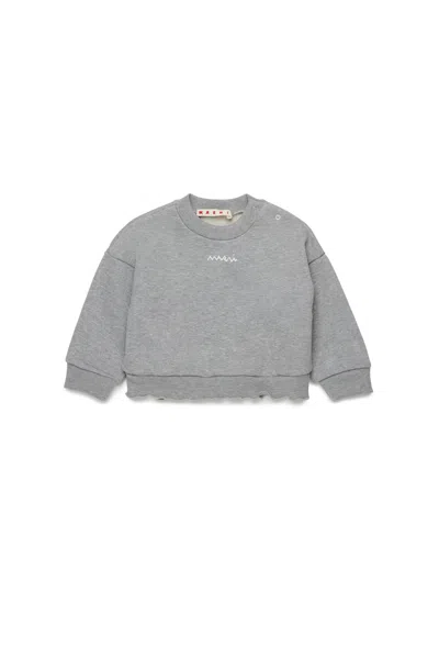 Marni Felpa Girocollo Con Balze Sul Fondo In Gray