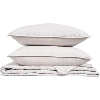 Artisan 34 Medallion Embroidered Comforter & Pillow Sham Set