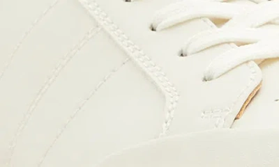 Call It Spring By Aldo Dunkirk Low Top Sneaker