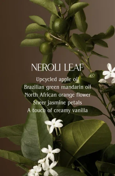 Homecourt Neroli Leaf Dish Soap In Black