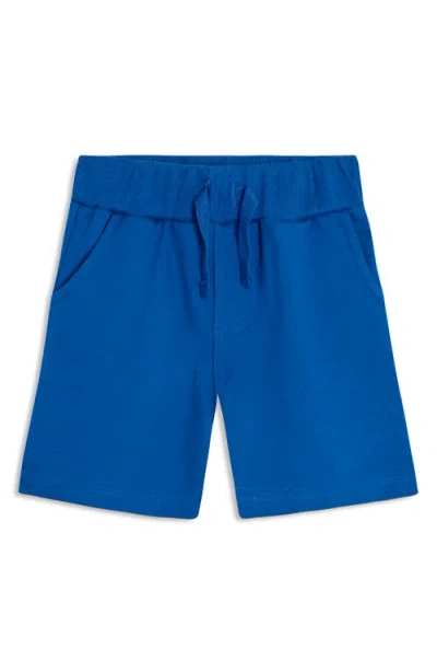 Jojo Maman Bébé Jojo Maman Bebe Shark Appliqué Cotton T-shirt & Shorts Set