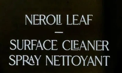 Homecourt Mandarin Basile Surface Cleaner In Black