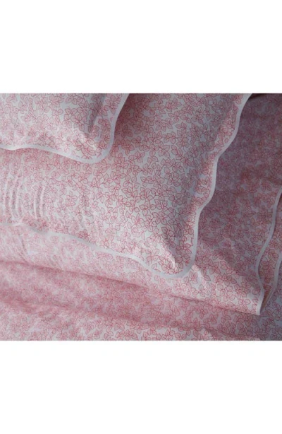 Matouk Margot 500 Thread Count Cotton Percale Sham In Pink