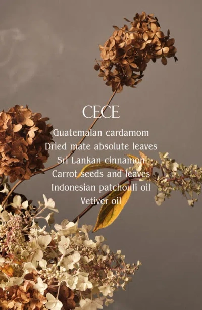 Homecourt Cipres Mint Room Deodorant In Black