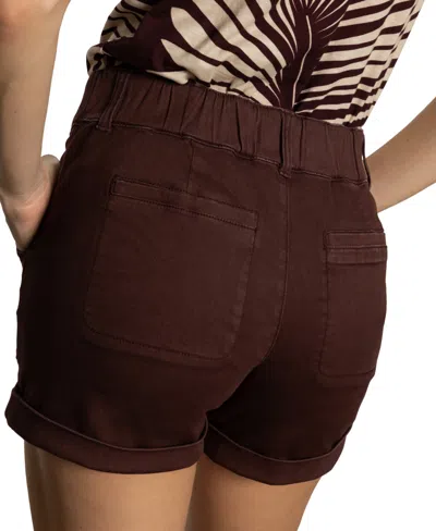 Sanctuary Renegade Mid-rise Shorts In Mesa In Brown